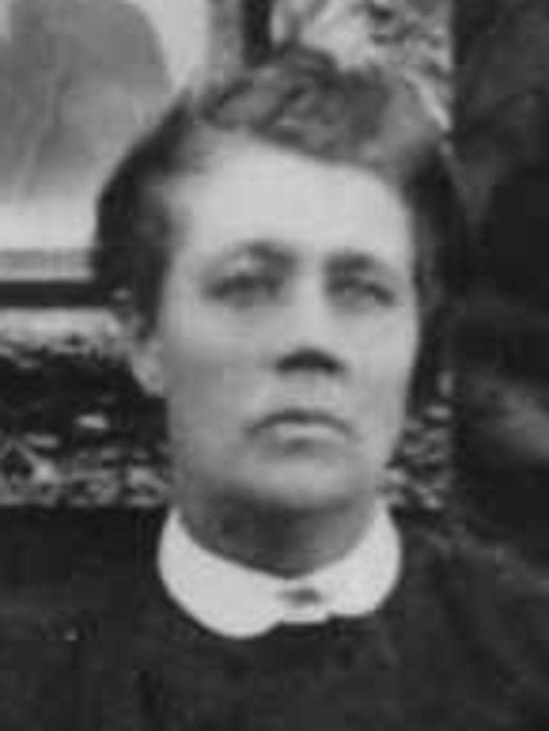 Lucinda Marie Patterson (1859 - 1923) Profile